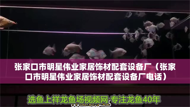 張家口市明星偉業家居飾材配套設備廠（張家口市明星偉業家居飾材配套設備廠電話）