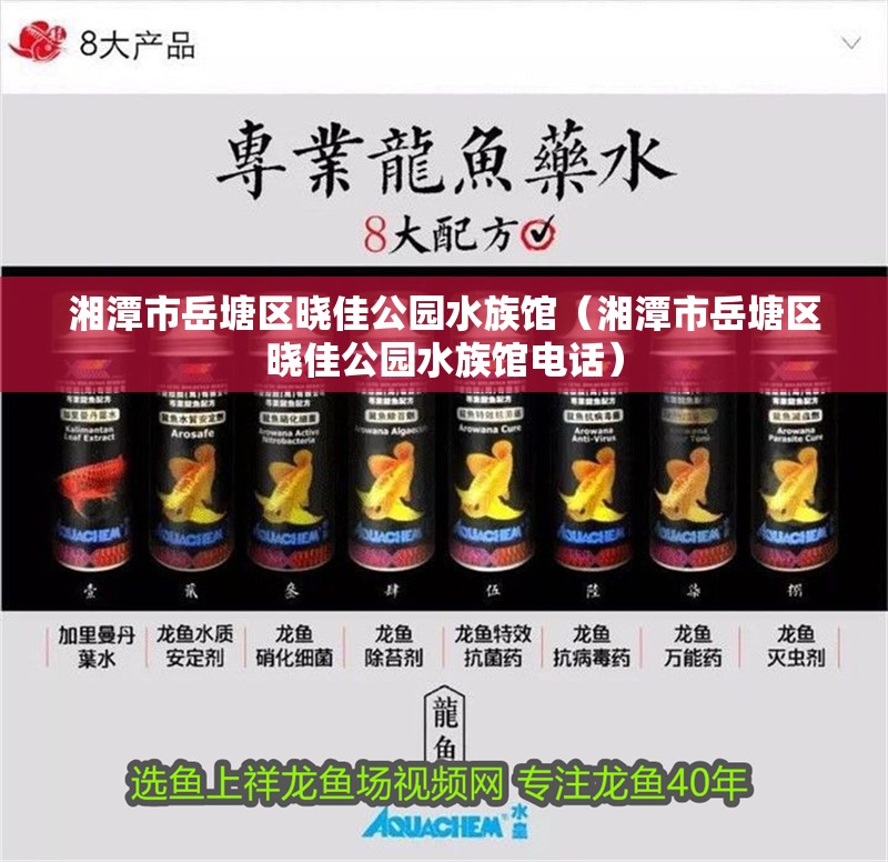 湘潭市岳塘區曉佳公園水族館（湘潭市岳塘區曉佳公園水族館電話）