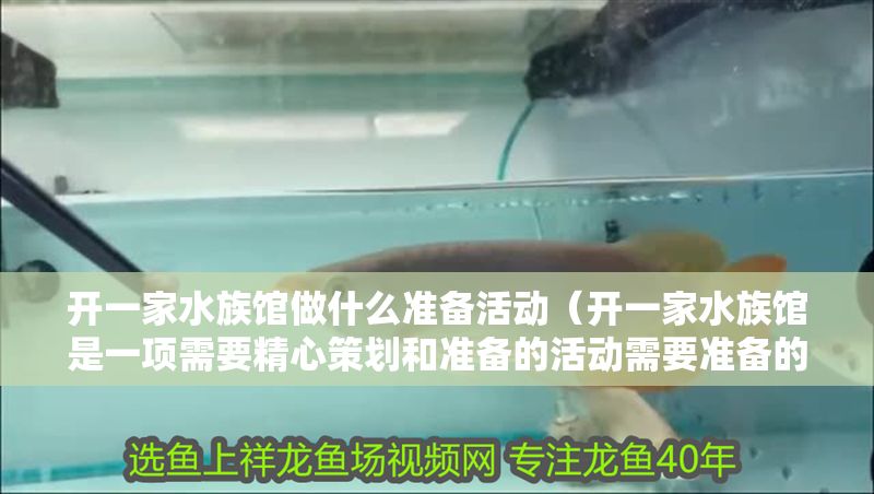 開一家水族館做什么準備活動（開一家水族館是一項需要精心策劃和準備的活動需要準備的活動）
