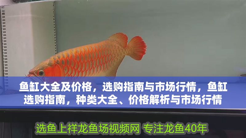 魚缸大全及價格，選購指南與市場行情，魚缸選購指南，種類大全、價格解析與市場行情