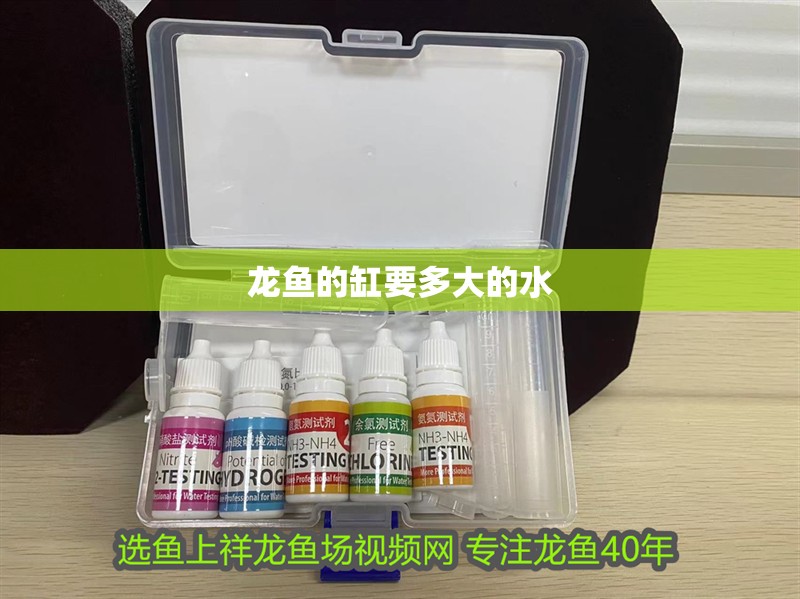 龍魚的缸要多大的水