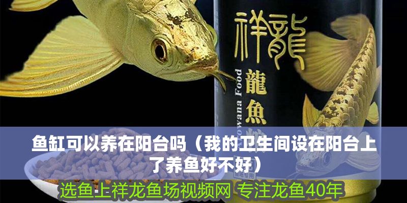 魚缸可以養(yǎng)在陽臺嗎（我的衛(wèi)生間設(shè)在陽臺上了養(yǎng)魚好不好）