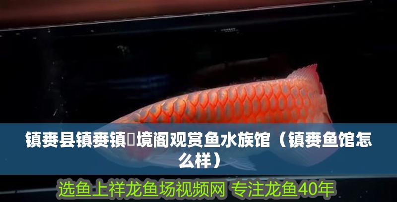 鎮賚縣鎮賚鎮鱻境閣觀賞魚水族館（鎮賚魚館怎么樣）