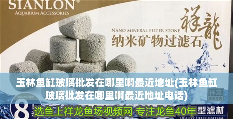 玉林魚缸玻璃批發(fā)在哪里啊最近地址(玉林魚缸玻璃批發(fā)在哪里啊最近地址電話)