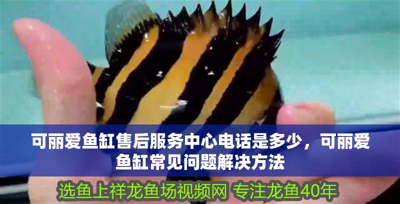 可麗愛魚缸售后服務(wù)中心電話是多少，可麗愛魚缸常見問題解決方法
