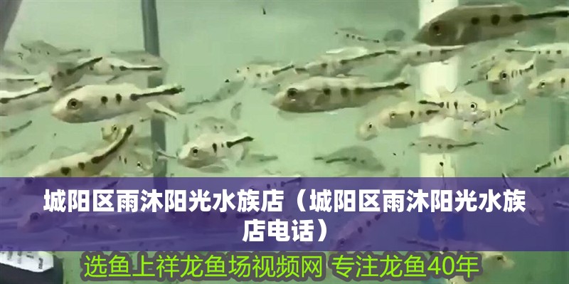 城陽區(qū)雨沐陽光水族店（城陽區(qū)雨沐陽光水族店電話）