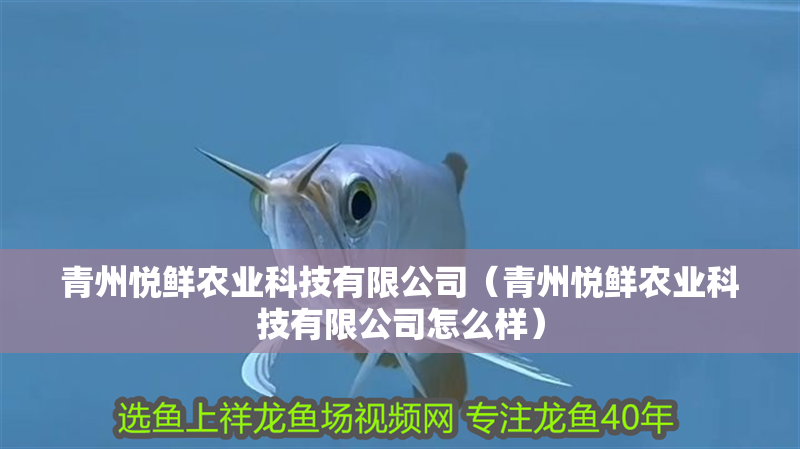 青州悅鮮農業科技有限公司（青州悅鮮農業科技有限公司怎么樣）