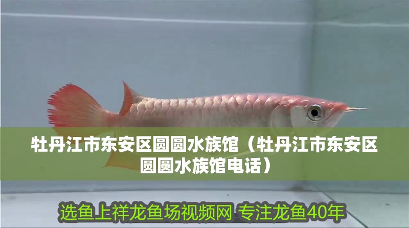 牡丹江市東安區圓圓水族館（牡丹江市東安區圓圓水族館電話）