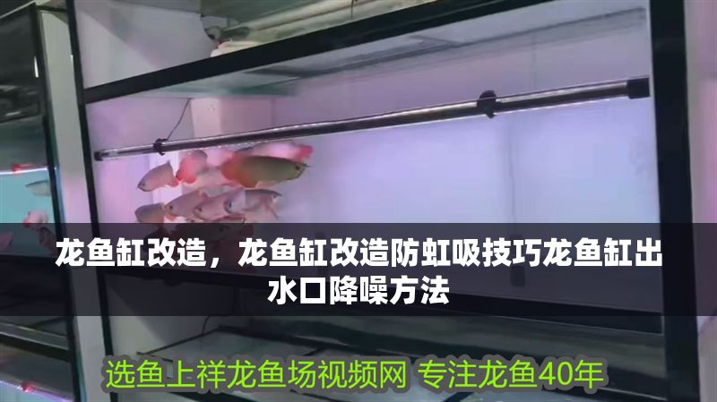 龍魚缸改造，龍魚缸改造防虹吸技巧龍魚缸出水口降噪方法