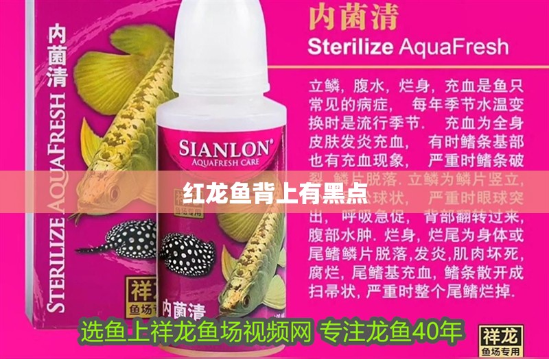 紅龍魚背上有黑點
