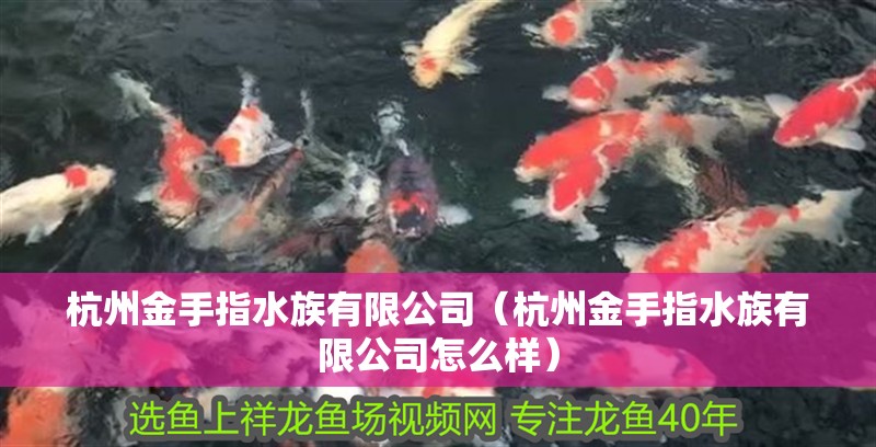 杭州金手指水族有限公司（杭州金手指水族有限公司怎么樣）