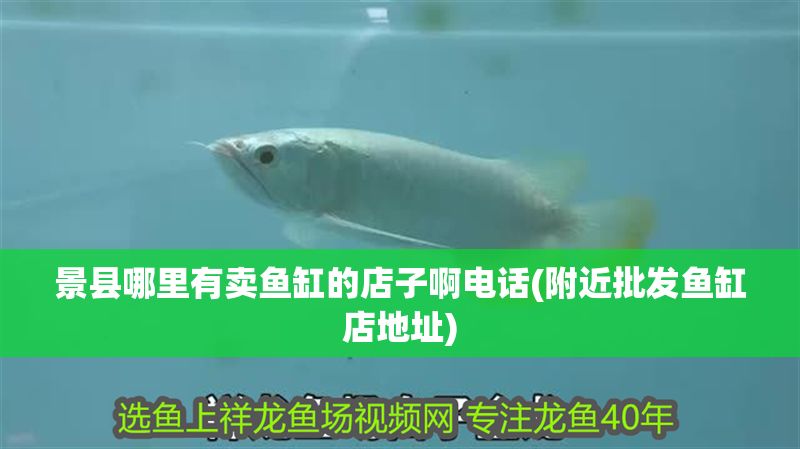 景縣哪里有賣魚缸的店子啊電話(附近批發魚缸店地址)