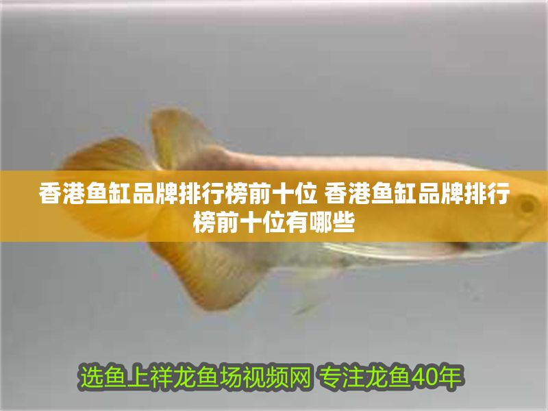香港魚缸品牌排行榜前十位 香港魚缸品牌排行榜前十位有哪些
