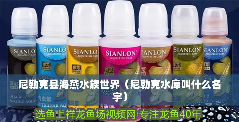 尼勒克縣海燕水族世界（尼勒克水庫叫什么名字）