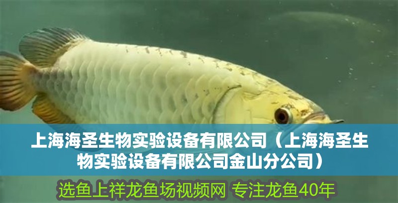 上海海圣生物實驗設備有限公司（上海海圣生物實驗設備有限公司金山分公司）