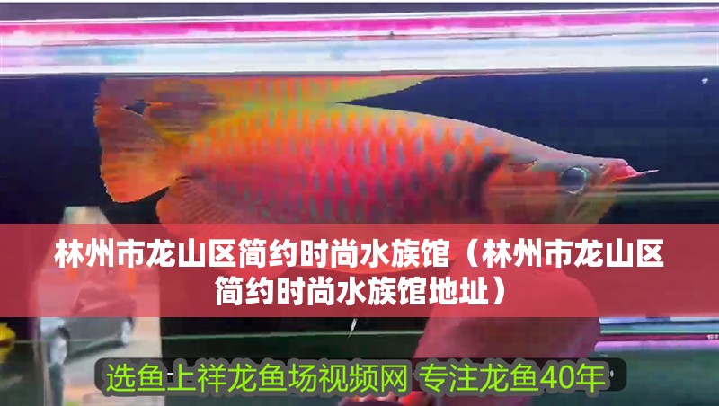 林州市龍山區簡約時尚水族館（林州市龍山區簡約時尚水族館地址）