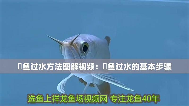 魟魚過水方法圖解視頻：魟魚過水的基本步驟