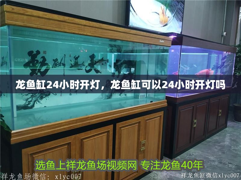 龍魚缸24小時開燈，龍魚缸可以24小時開燈嗎