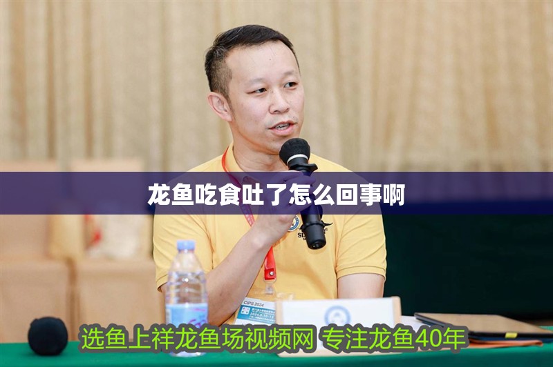 龍魚吃食吐了怎么回事啊 龍魚百科 第2張 龍魚吃食吐了怎么回事啊 龍魚吃食吐了怎么回事啊 龍魚百科 第2張