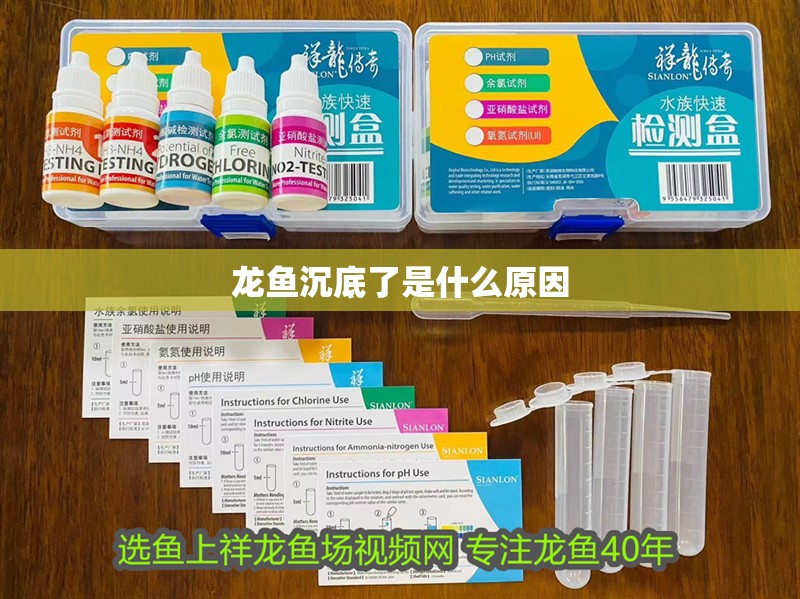 龍魚沉底了是什么原因