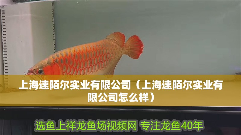 上海速陌爾實業有限公司（上海速陌爾實業有限公司怎么樣）