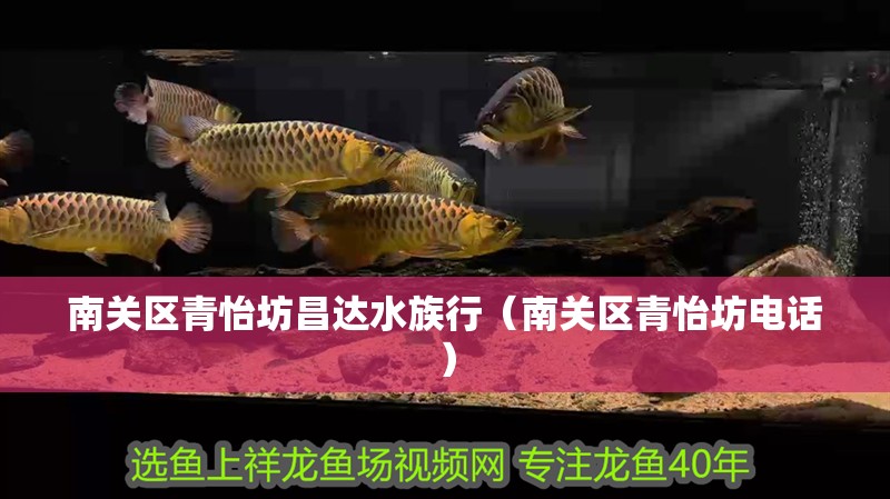 南關區青怡坊昌達水族行（南關區青怡坊電話）