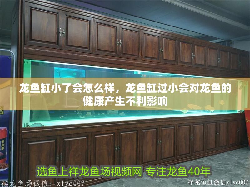 龍魚(yú)缸小了會(huì)怎么樣，龍魚(yú)缸過(guò)小會(huì)對(duì)龍魚(yú)的健康產(chǎn)生不利影響