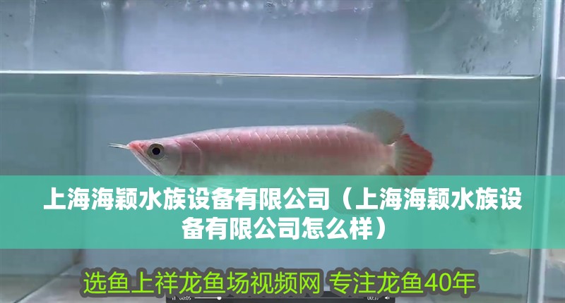 上海海穎水族設(shè)備有限公司（上海海穎水族設(shè)備有限公司怎么樣）