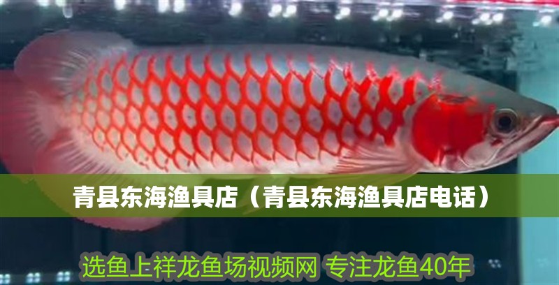 青縣東海漁具店（青縣東海漁具店電話）