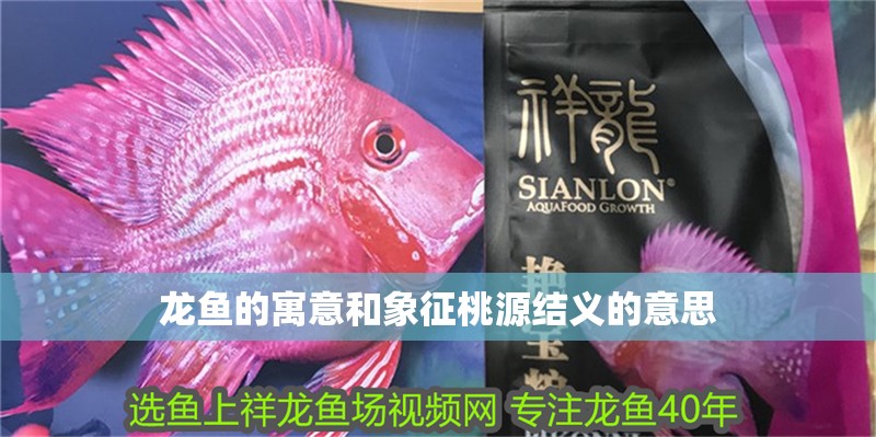 龍魚的寓意和象征桃源結義的意思