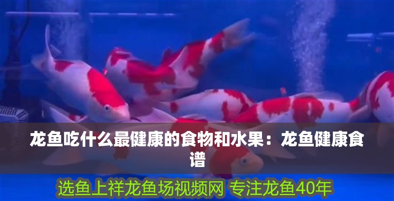 龍魚吃什么最健康的食物和水果：龍魚健康食譜
