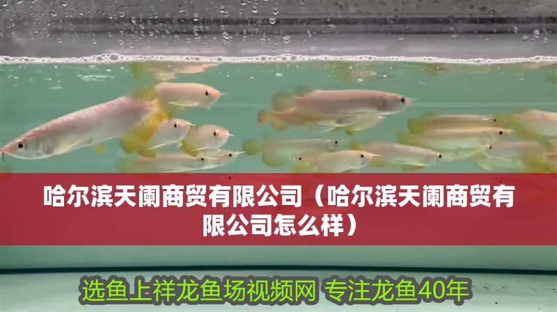 哈爾濱天闌商貿有限公司（哈爾濱天闌商貿有限公司怎么樣）