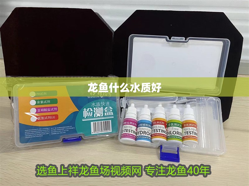 龍魚什么水質好