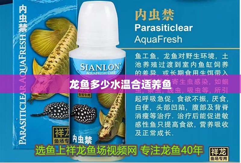 龍魚多少水溫合適養魚