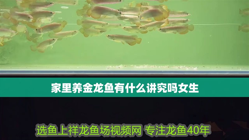 家里養(yǎng)金龍魚有什么講究嗎女生