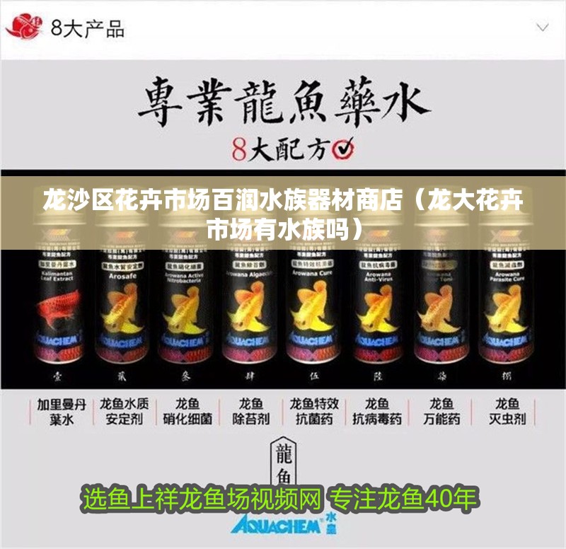龍沙區花卉市場百潤水族器材商店（龍大花卉市場有水族嗎）