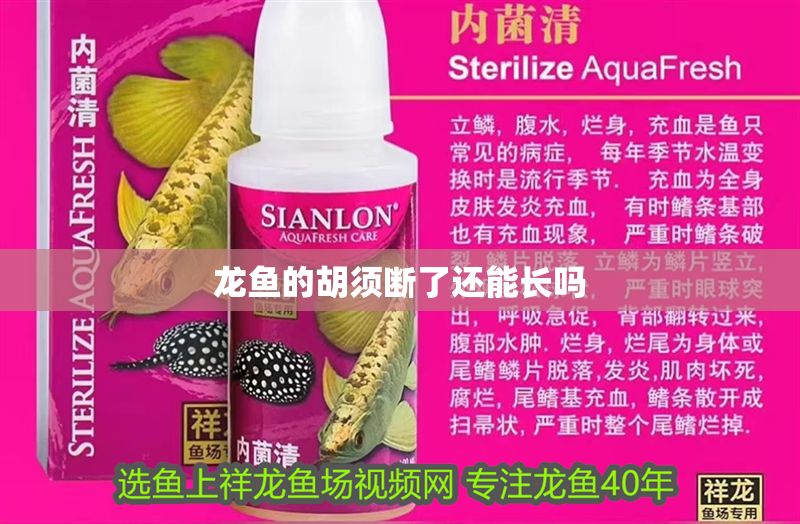 龍魚的胡須斷了還能長嗎