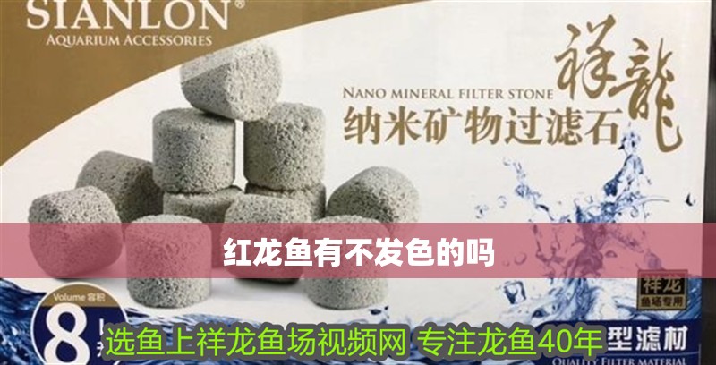 紅龍魚有不發(fā)色的嗎