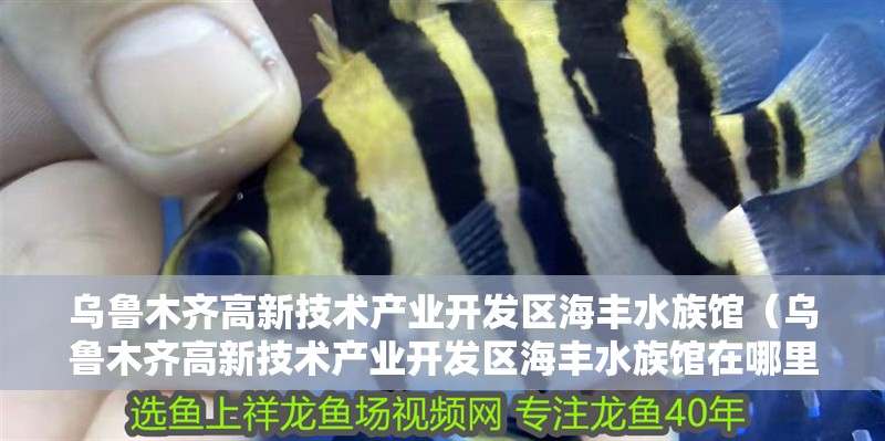 烏魯木齊高新技術產業開發區海豐水族館（烏魯木齊高新技術產業開發區海豐水族館在哪里）