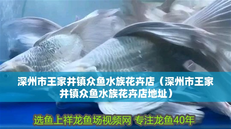 深州市王家井鎮眾魚水族花卉店（深州市王家井鎮眾魚水族花卉店地址）
