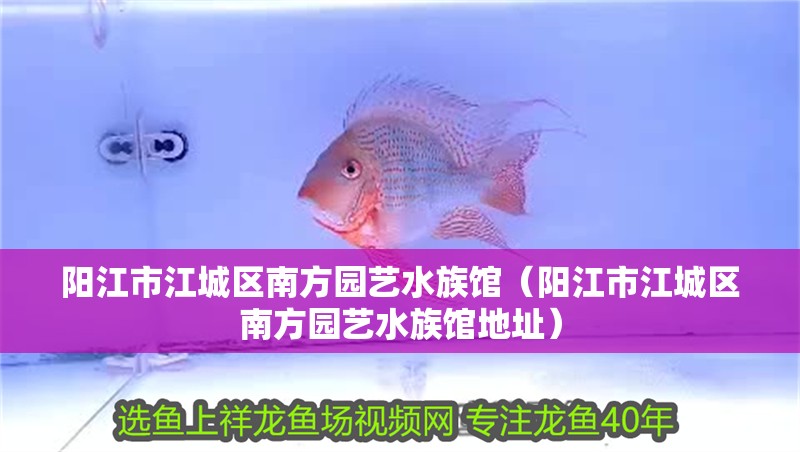 陽江市江城區南方園藝水族館（陽江市江城區南方園藝水族館地址）