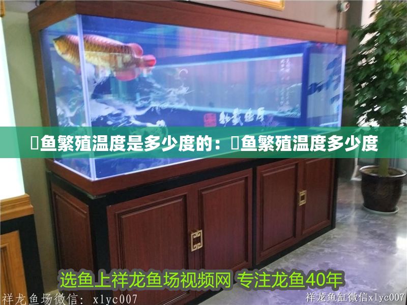 魟魚繁殖溫度是多少度的：魟魚繁殖溫度多少度