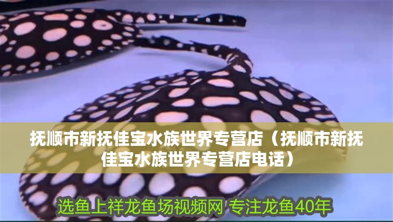 撫順市新撫佳寶水族世界專營店（撫順市新撫佳寶水族世界專營店電話）