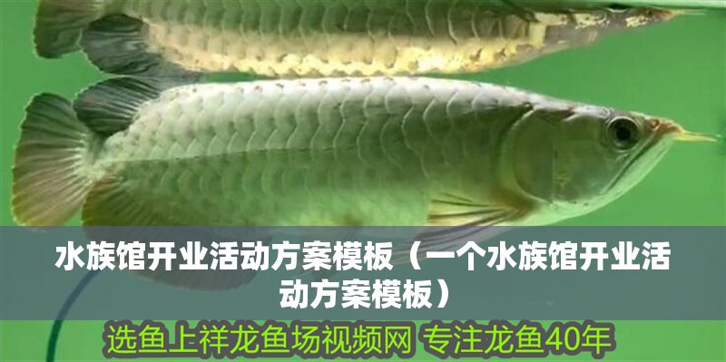 水族館開業(yè)活動方案模板（一個水族館開業(yè)活動方案模板）