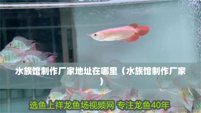 水族館制作廠家地址在哪里（水族館制作廠家）