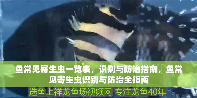 魚常見寄生蟲一覽表，識別與防治指南，魚常見寄生蟲識別與防治全指南