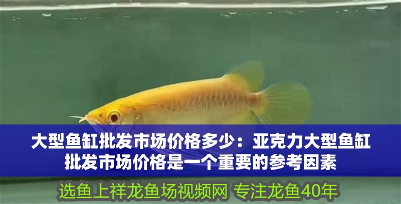 大型魚缸批發市場價格多少：亞克力大型魚缸批發市場價格是一個重要的參考因素