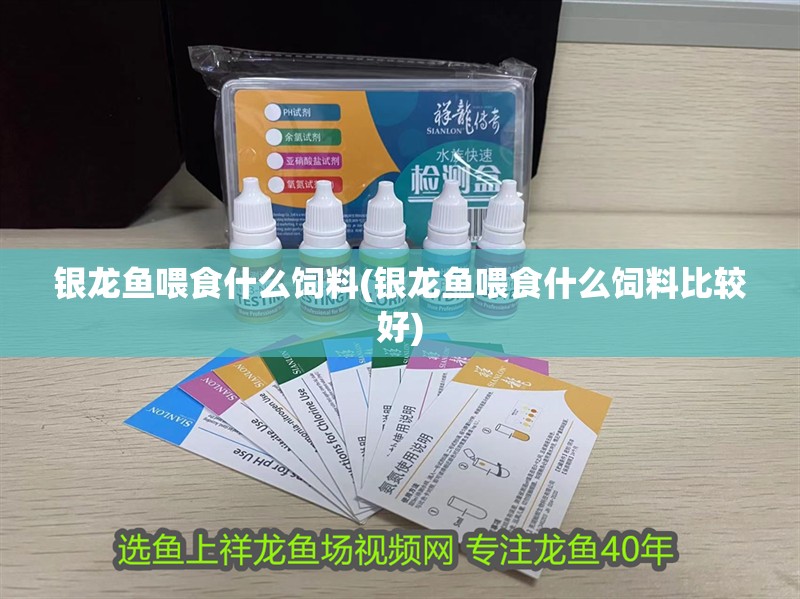 銀龍魚喂食什么飼料(銀龍魚喂食什么飼料比較好)