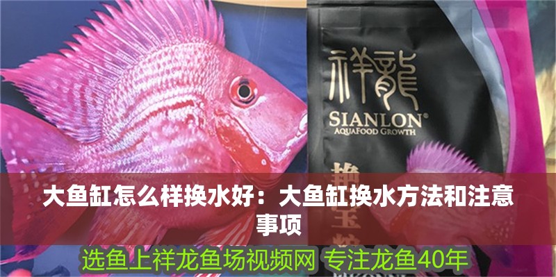 大魚(yú)缸怎么樣換水好：大魚(yú)缸換水方法和注意事項(xiàng)