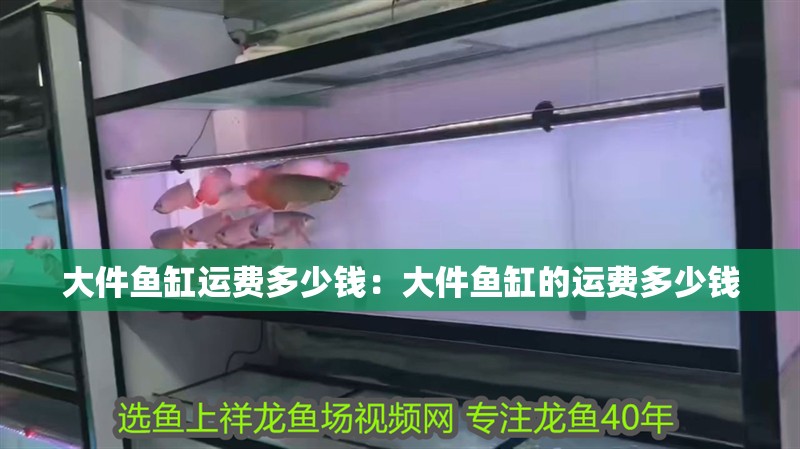 大件魚缸運費多少錢：大件魚缸的運費多少錢